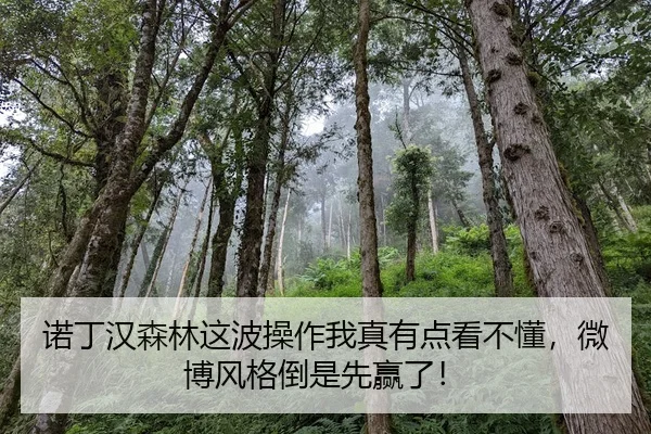 nuo-ding-han-sen-lin-zhe-bo-cao-zuo-wo-zhen-you-dian-kan-bu-dong-wei-bo-feng-ge-dao-shi-xian-ying-le-1-295.jpg