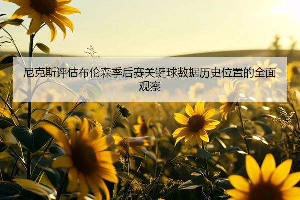 尼克斯评估布伦森季后赛关键球数据历史位置的全面观察